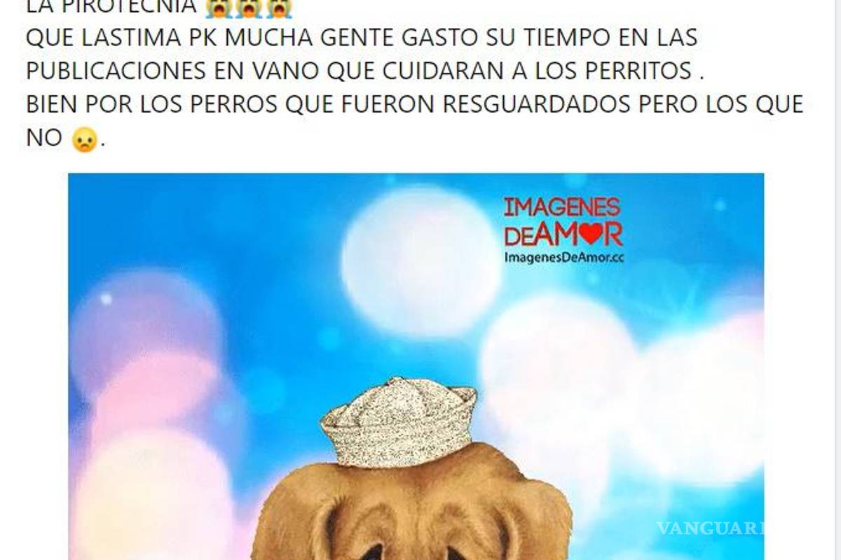 ¡Sin entender! Inicia Año Nuevo con perros extraviados y afectados por ruido de cohetes en Saltillo