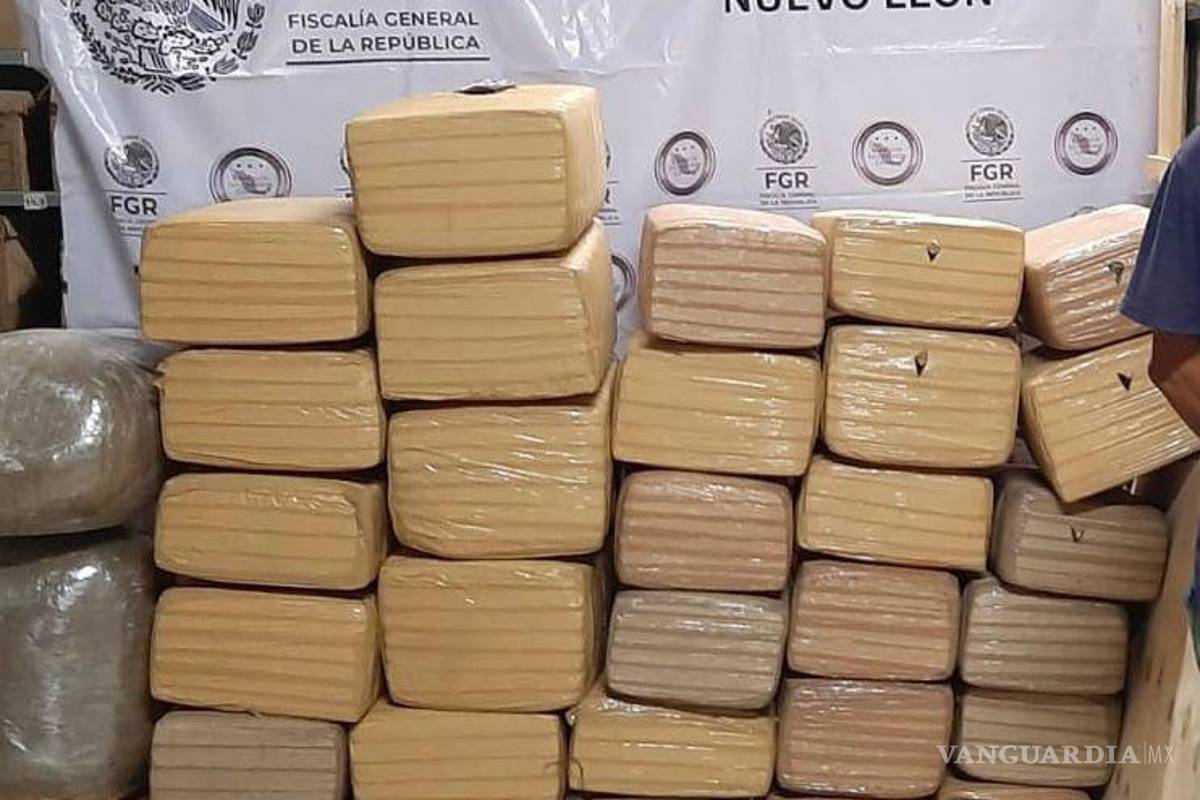 Vinculan a hombre que detienen con 340 kilos de mariguana en una empresa de paquetería en Nuevo León