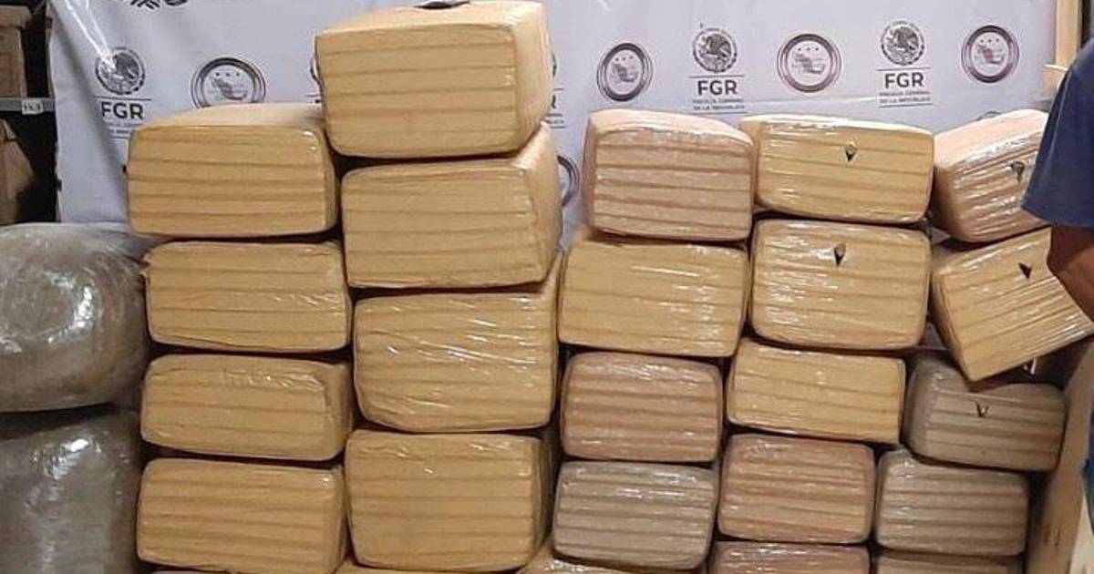 Le dan 8 años de cárcel por transportar marihuana en una empresa de paquetería, en NL