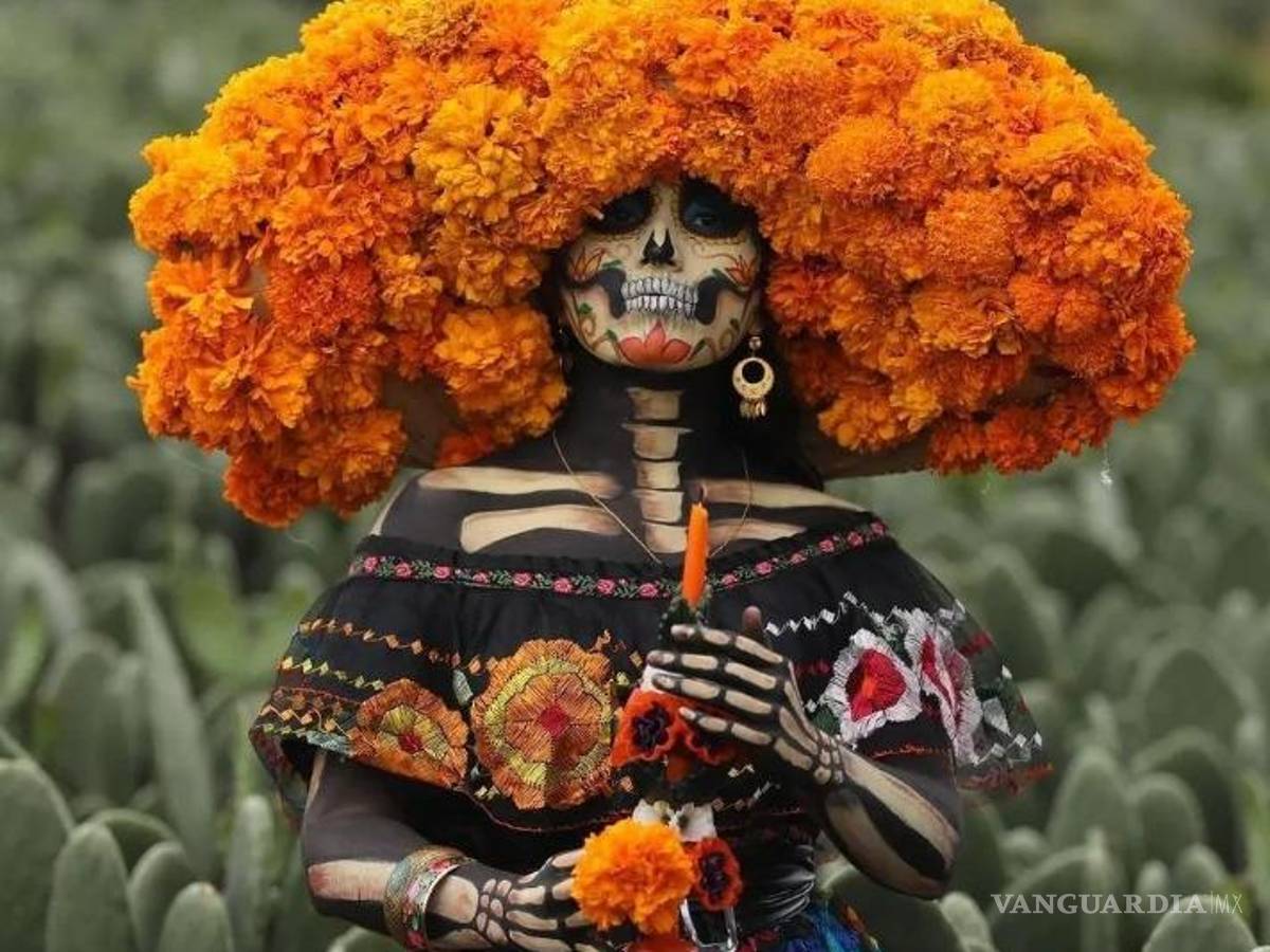 $!En instagram como mx.tochtli aparece la cuenta creadora de la foto.