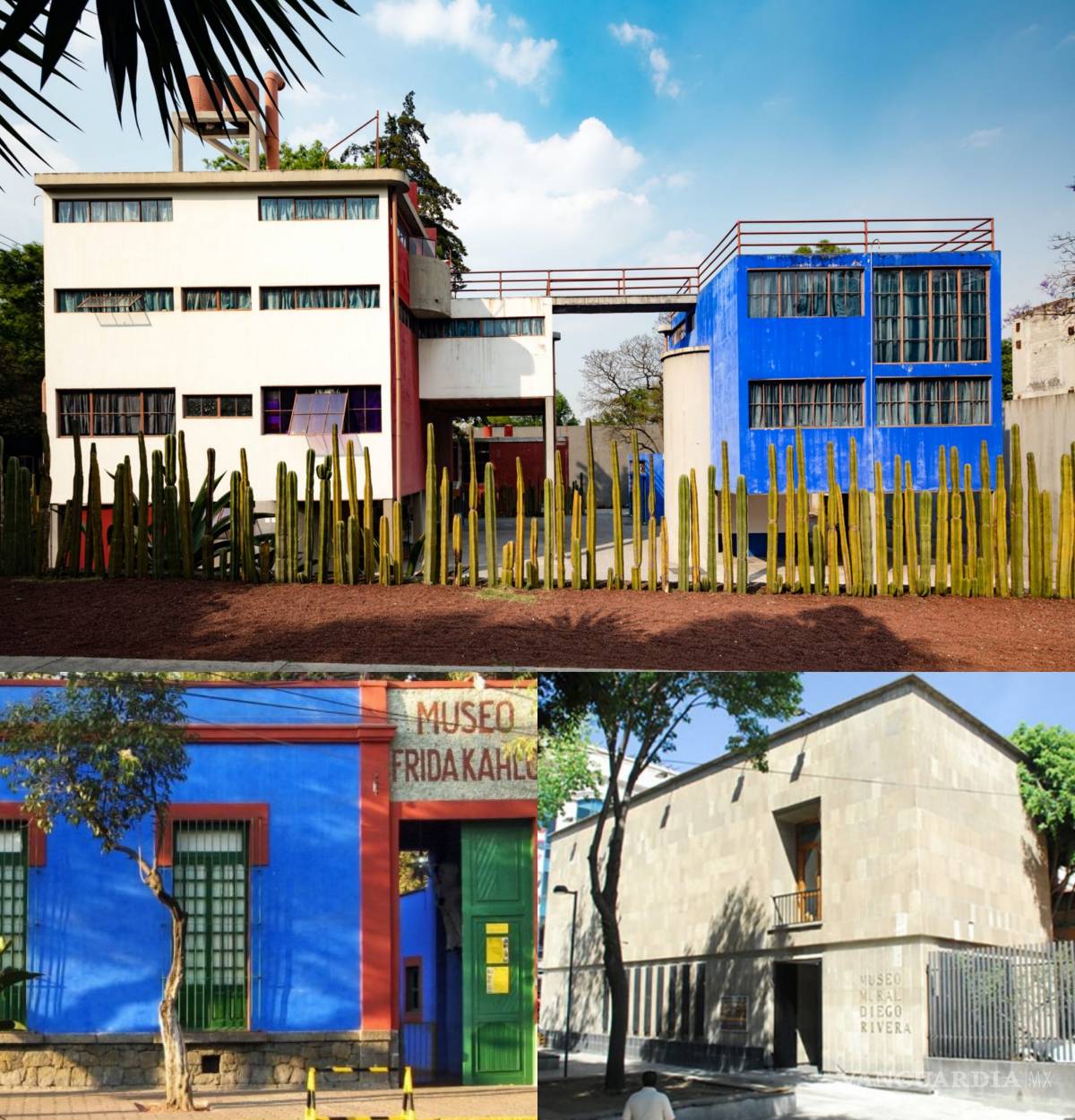 $!Coronavirus: En esta Semana Santa hay varias actividades en línea para que disfrutes en tu confinamiento por el COVID-19