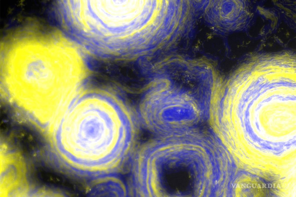 ¡Asombroso!, bacterias que parecen una obra de arte