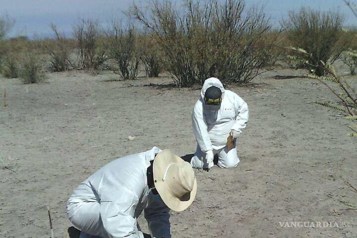 Encuentran más restos óseos en Patrocinio, Coahuila