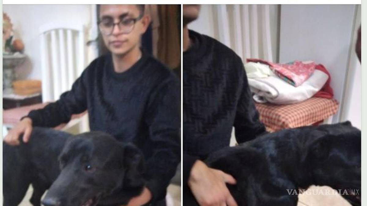 ¡Sin entender! Inicia Año Nuevo con perros extraviados y afectados por ruido de cohetes en Saltillo