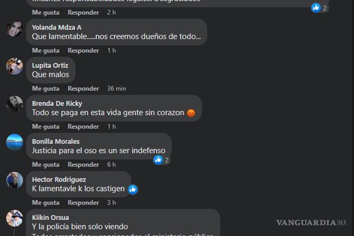 $!Coahuila: indigna tortura y muerte de osezna a manos de ciudadanos en Castaños; Gobernador condena agresión