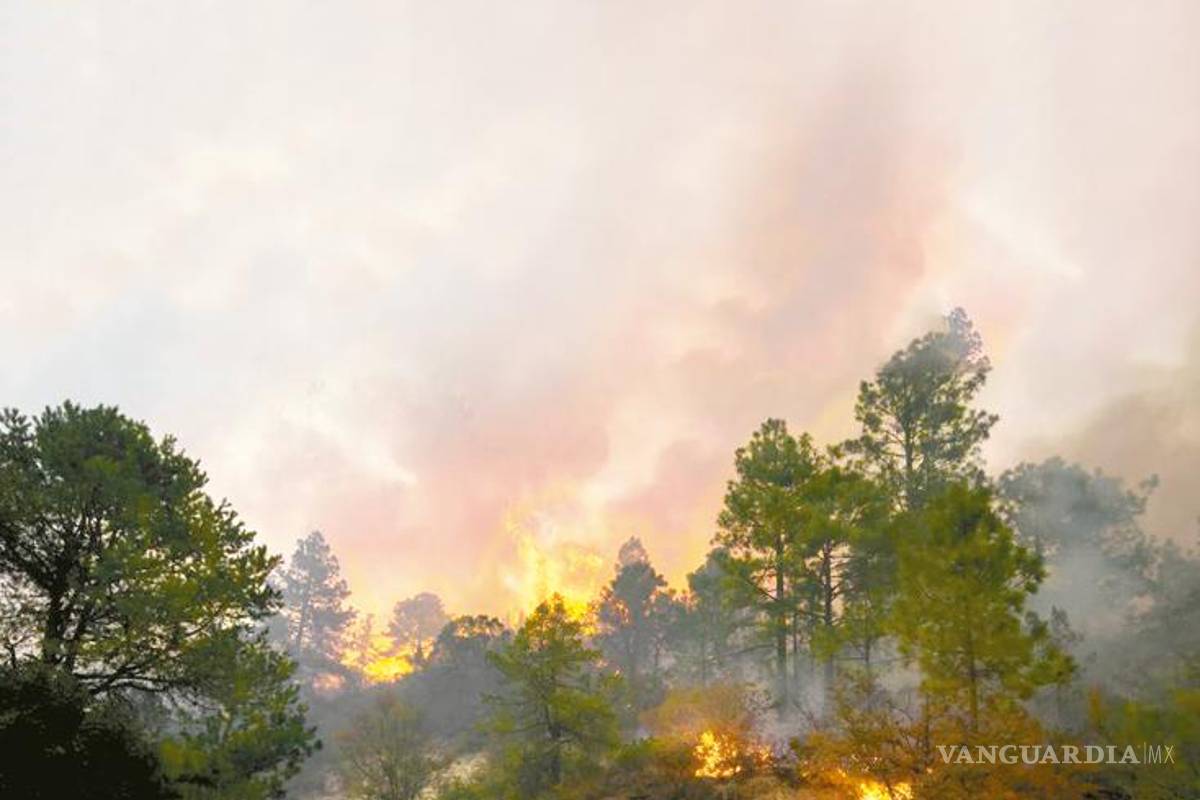 Pide FGE de Coahuila más tiempo para investigar incendio en La Pinalosa, tras casi un año de los hechos
