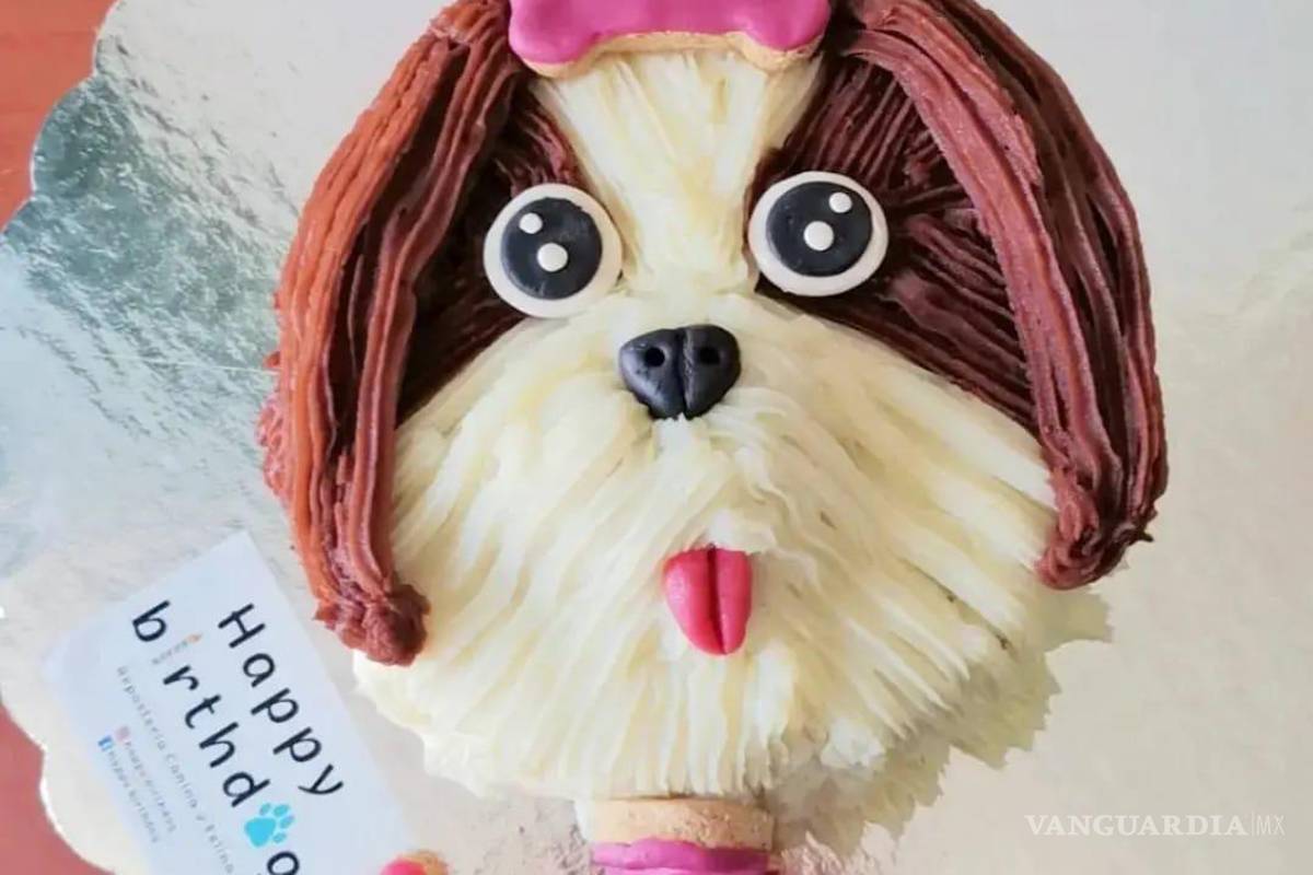 Saltillo: happy birth... ¿dog? Para pagarse estudios, joven vende pasteles para mascotas