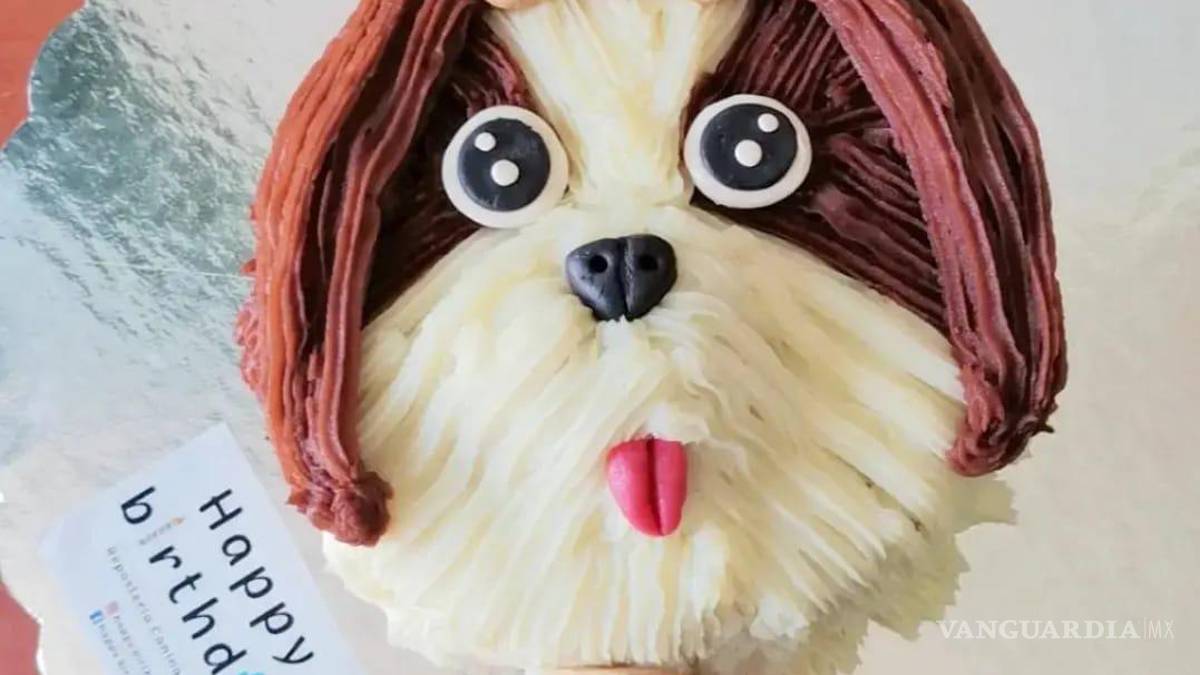 Saltillo: happy birth... ¿dog? Para pagarse estudios, joven vende pasteles para mascotas