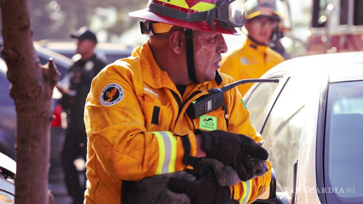 Evacuan a 30 personas y rescatan a seis animales por incendio en Monterrey, Nuevo León