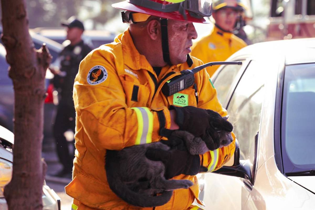 Evacuan a 30 personas y rescatan a seis animales por incendio en Monterrey, Nuevo León