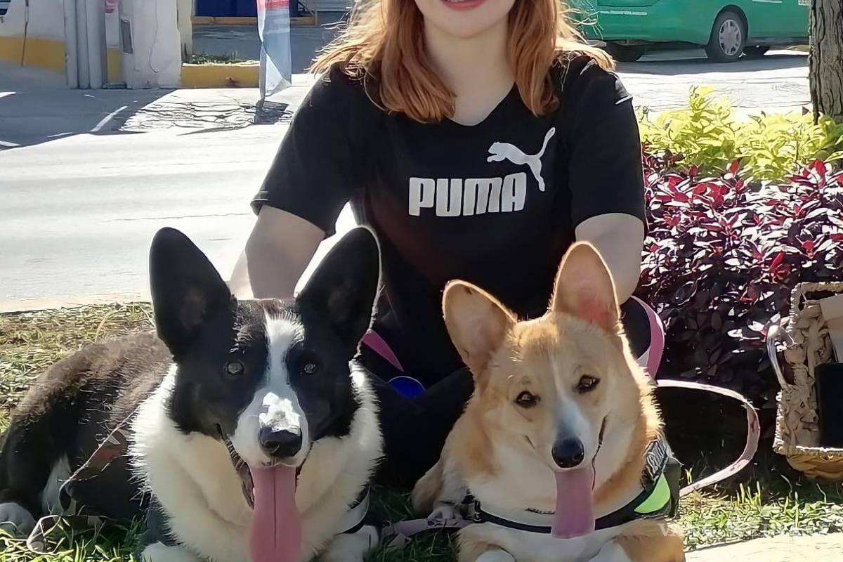 Saltillo: happy birth... ¿dog? Para pagarse estudios, joven vende pasteles para mascotas