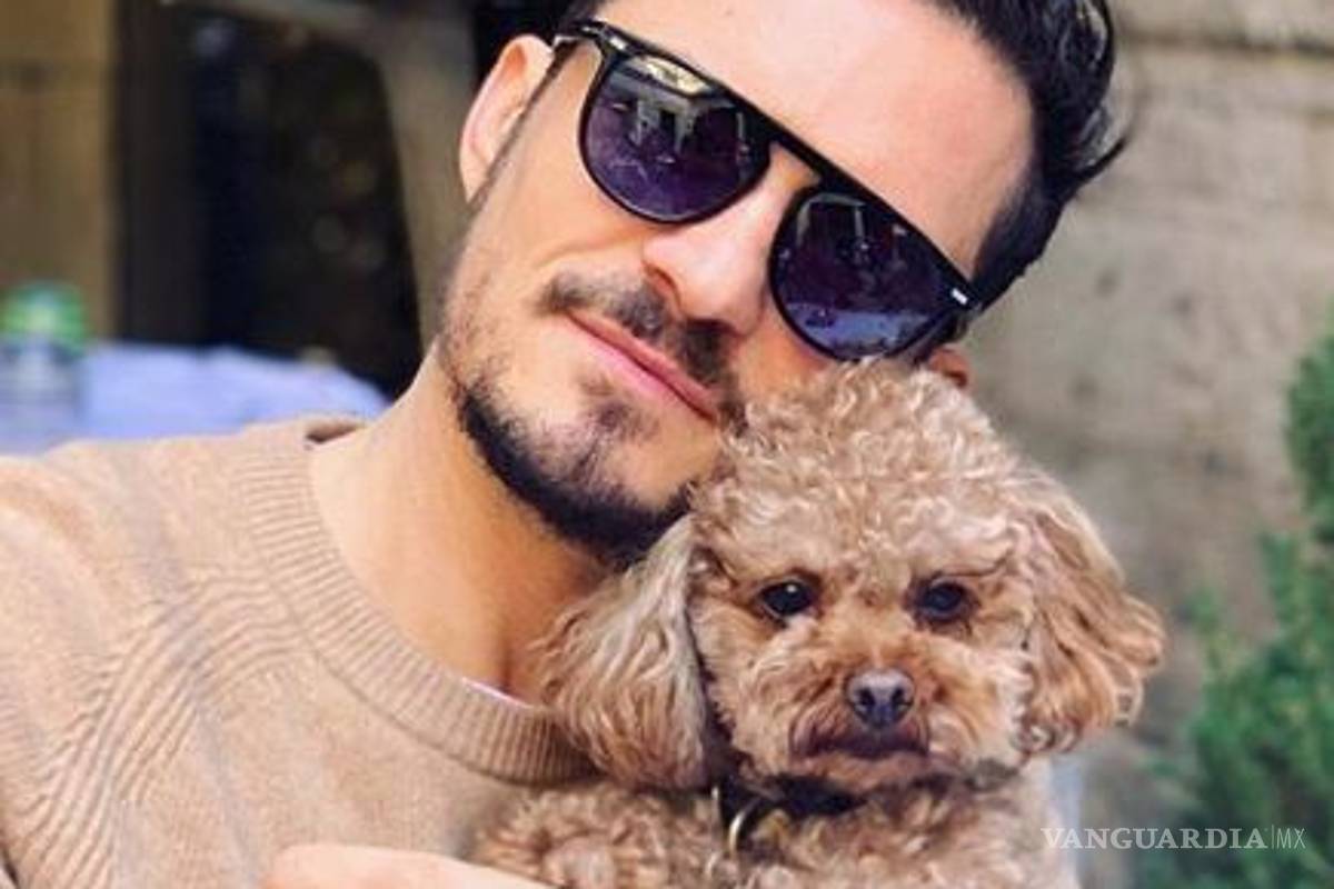 $!Tras buscarlo por siete días, Orlando Bloom declara que su perro Mighty falleció