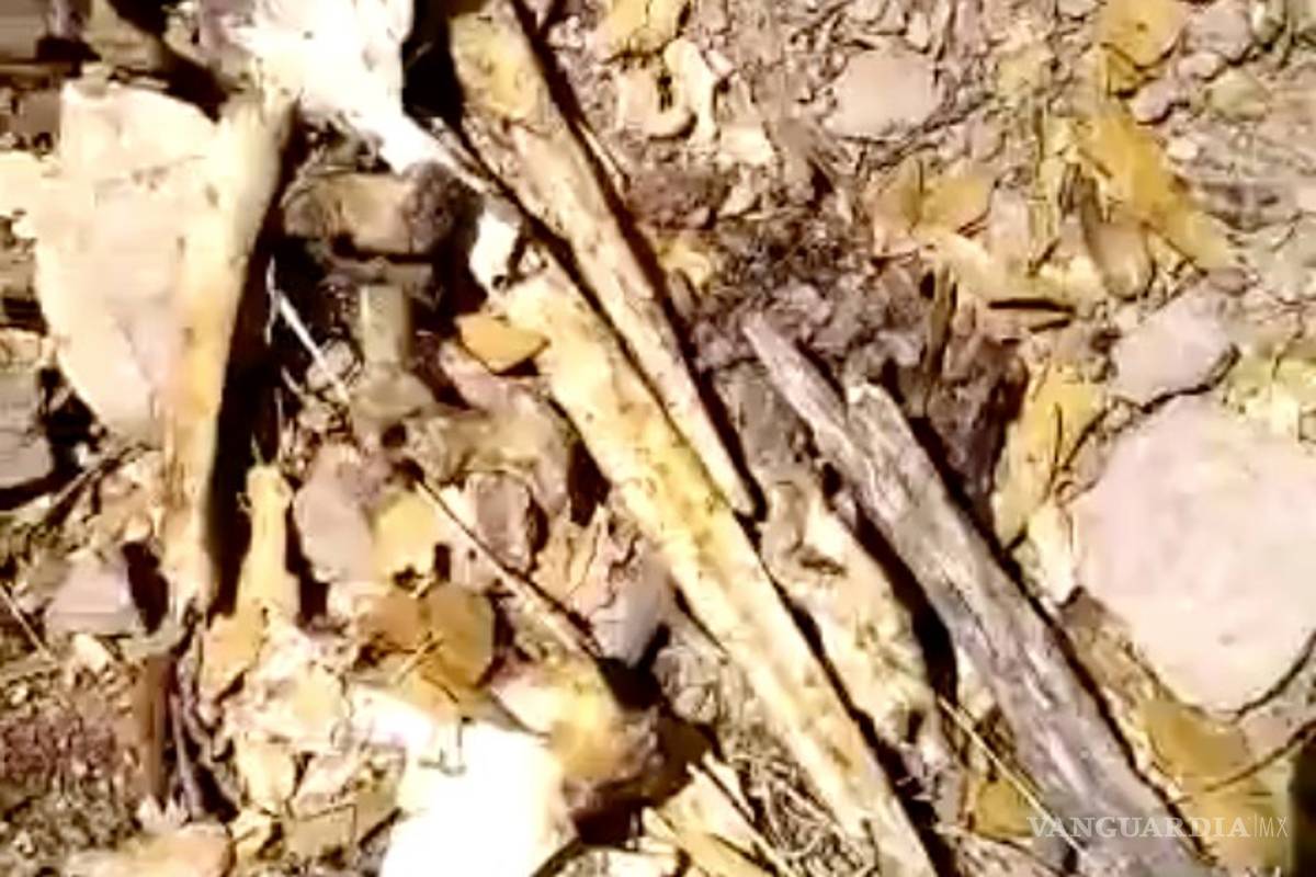 Ubican 18 cuerpos calcinados en fosas clandestinas