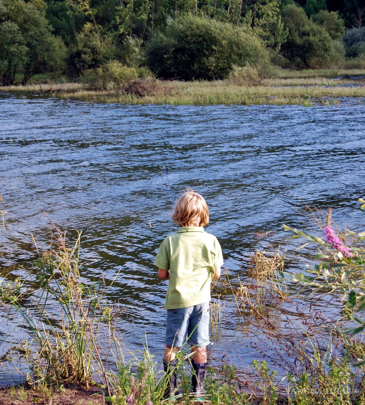 $!La tendencia al aislamiento puede tener distintas causas. EFE/Margarita García Marqués