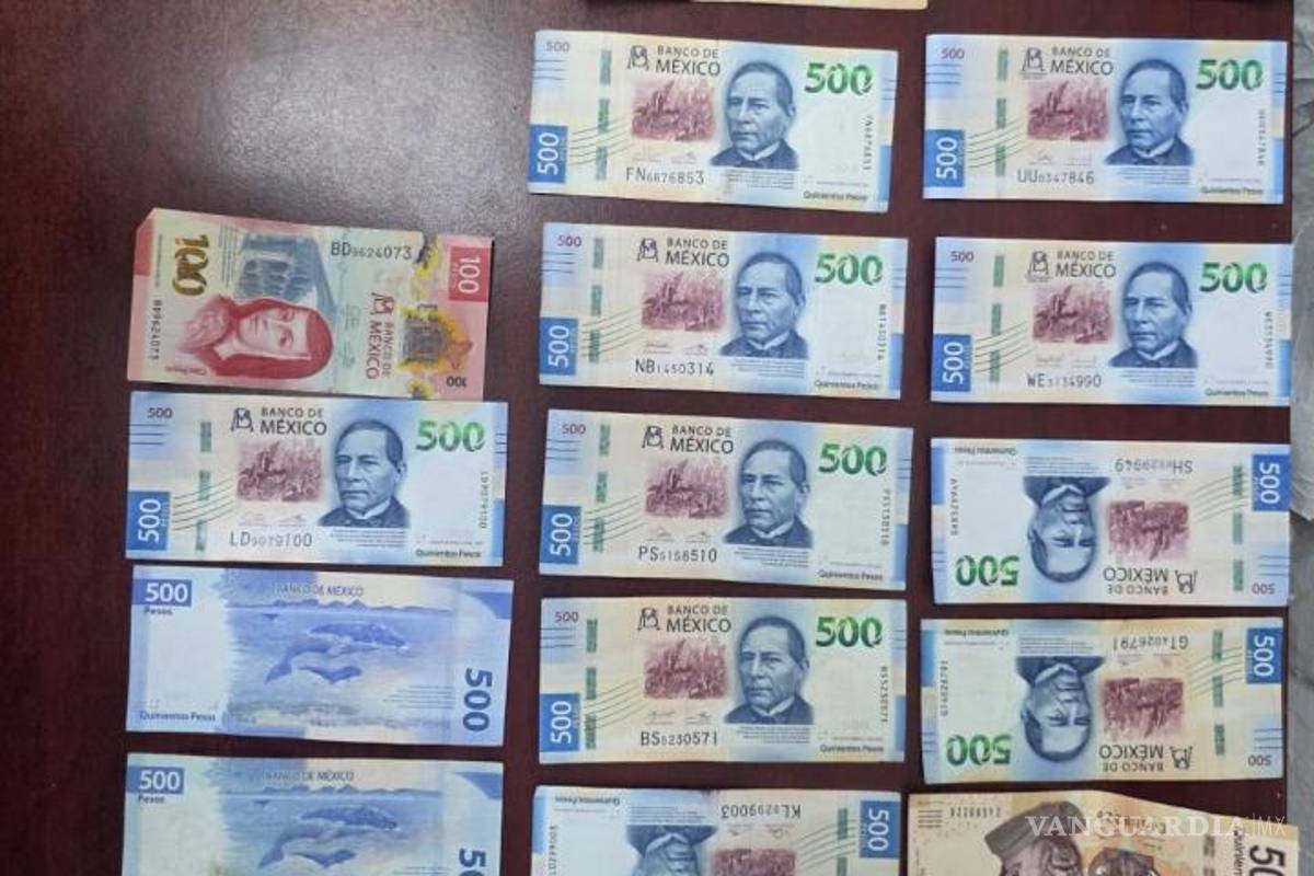 $!Detienen en Nuevo León a integrantes de una banda que robaba cajas fuertes a negocios en Saltillo