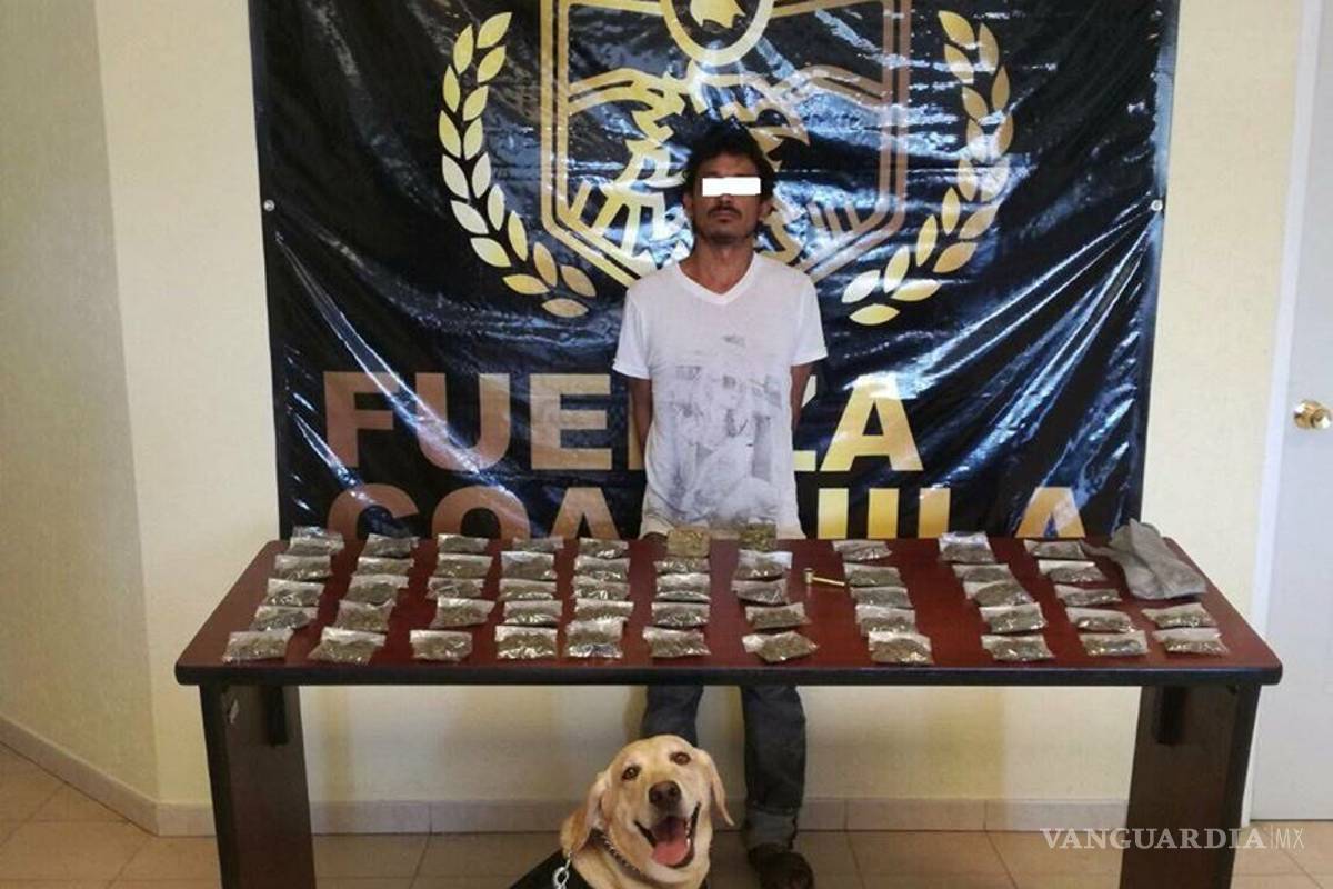 Perro de Fuerza Coahuila 'sonríe' tras capturar a narcomenudista