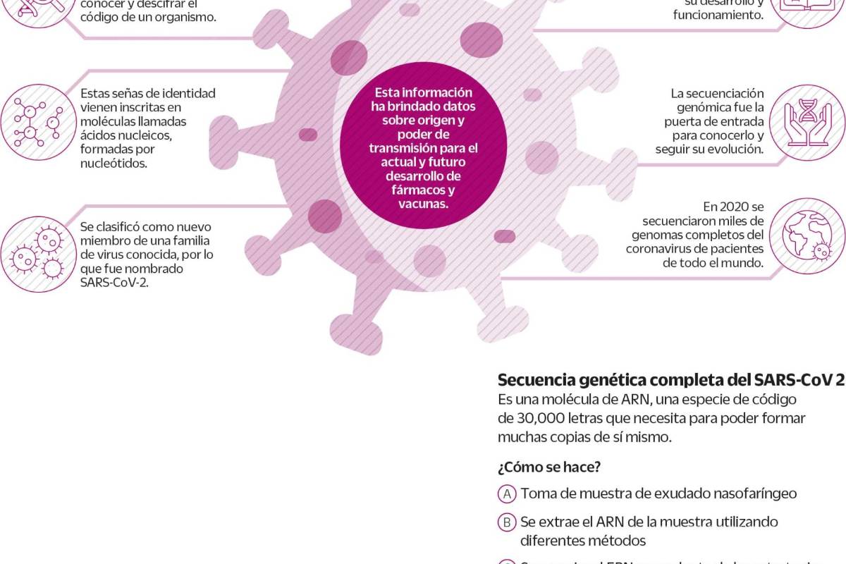 $!2020: un recorrido científico marcado por el COVID-19, el año de la pesadilla sanitaria