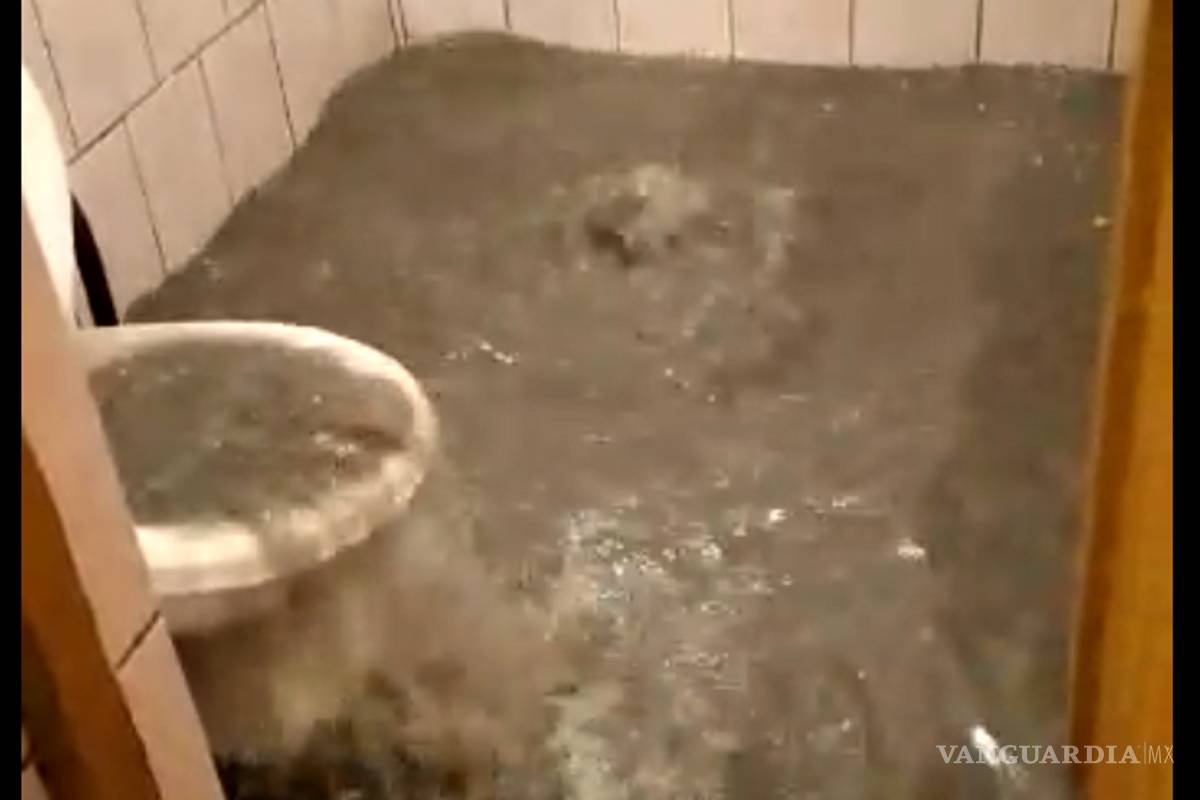 Tormenta azota diferentes puntos en Saltillo; reportan inundaciones, derriba 12 árboles y 3 bardas