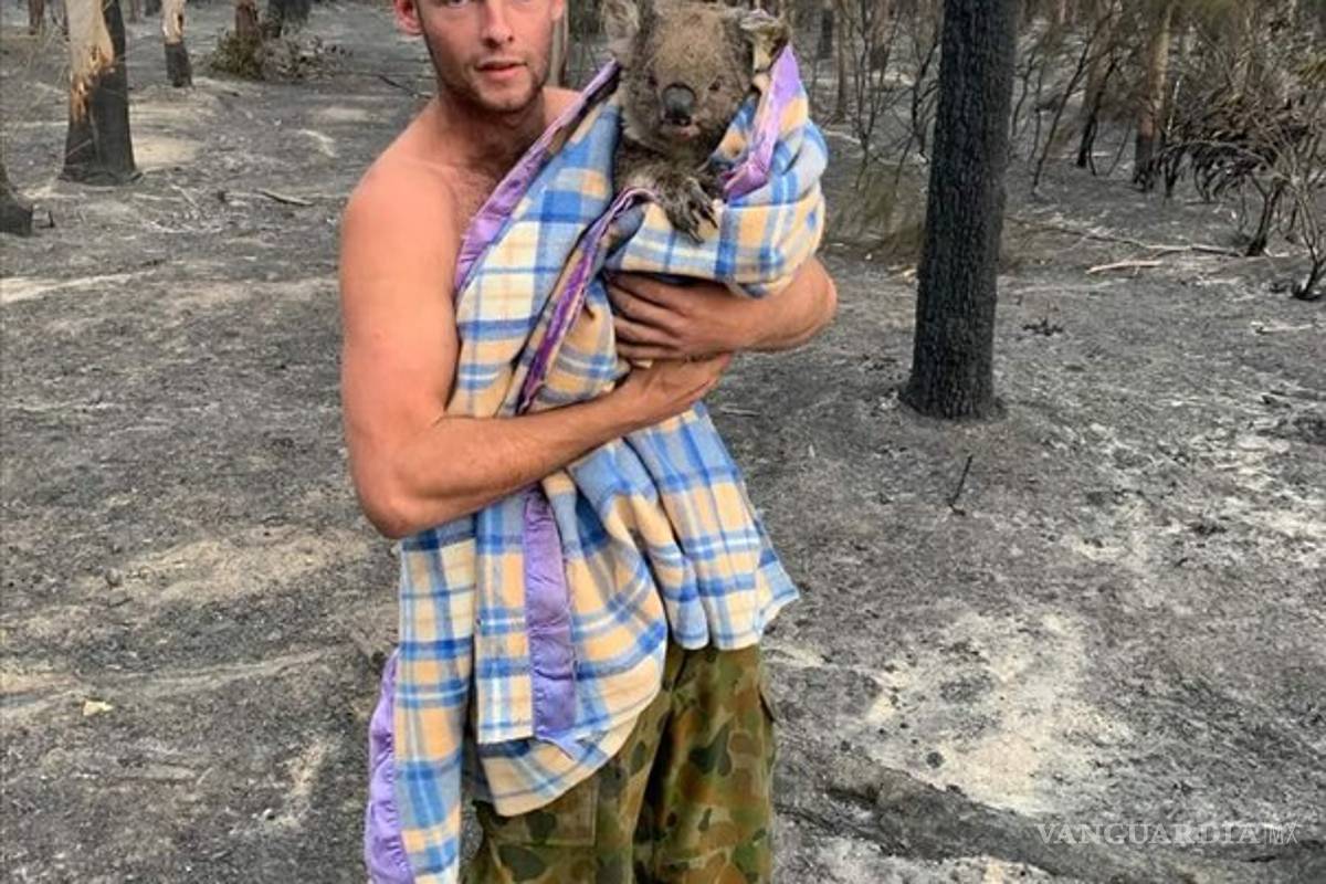 Cazador deja las armas para rescatar koalas en Australia