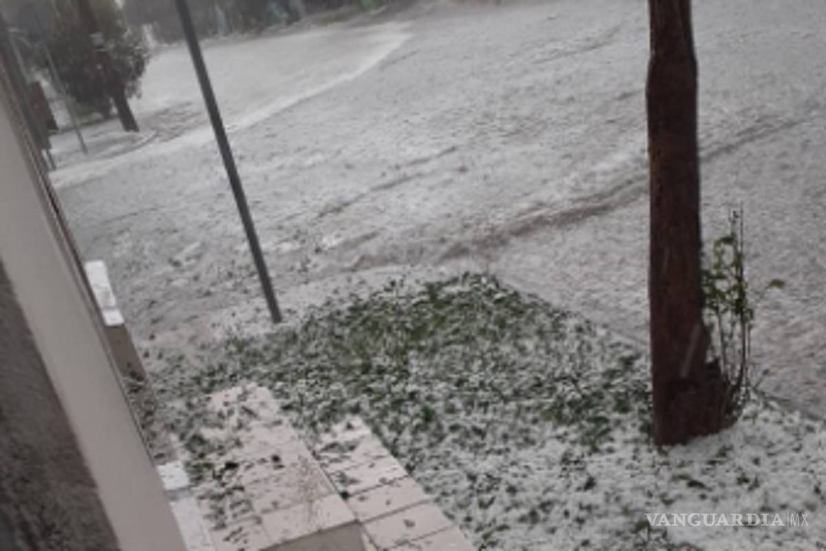 Granizada cubre de blanco el sur de Saltillo