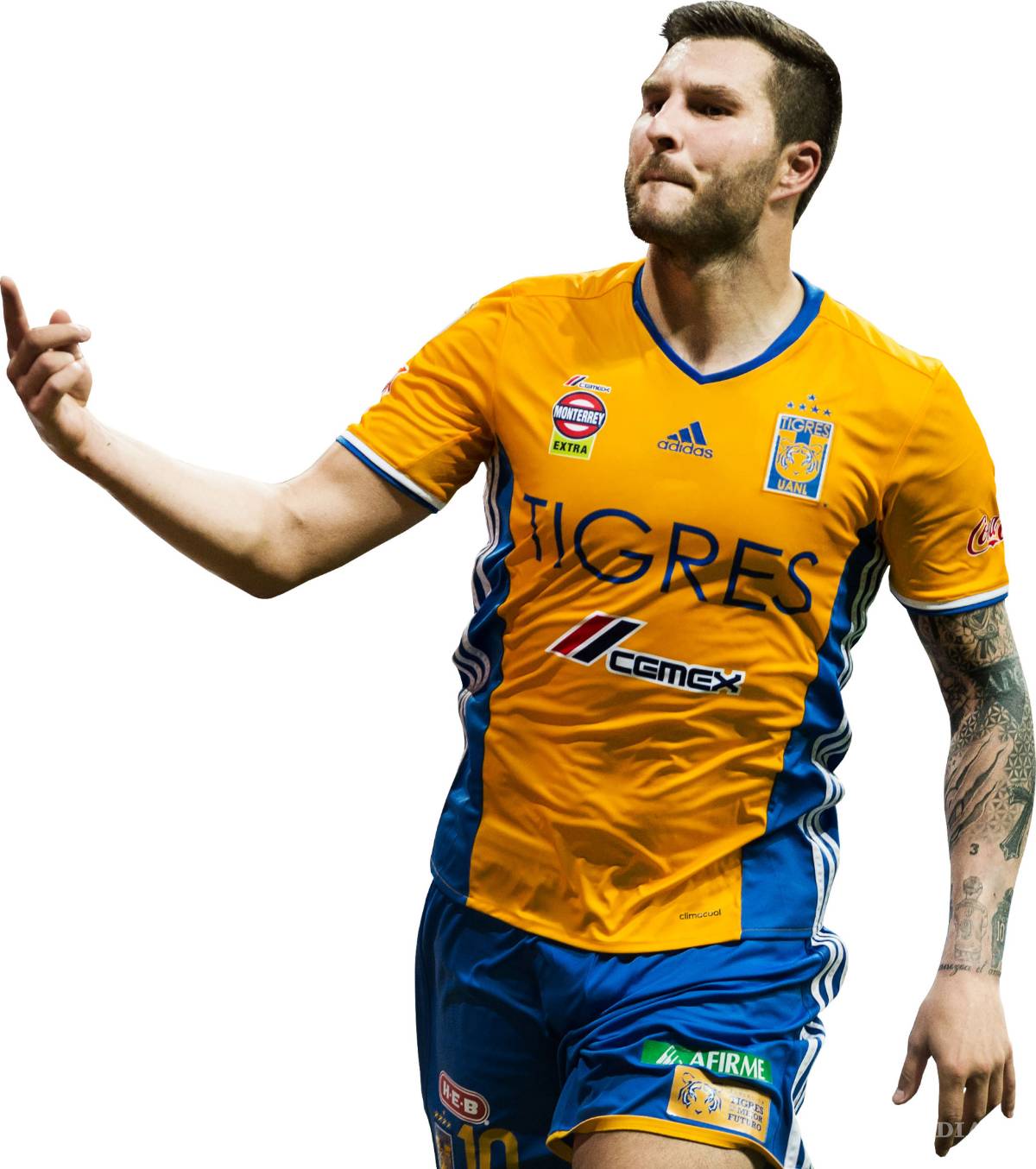 $!¿Quién para Campeón en el 2018?