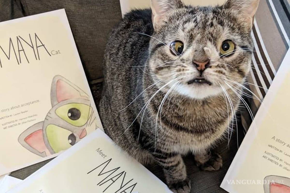 Gatita con síndrome de down educa a los niños a aceptar a quienes son ‘diferentes’