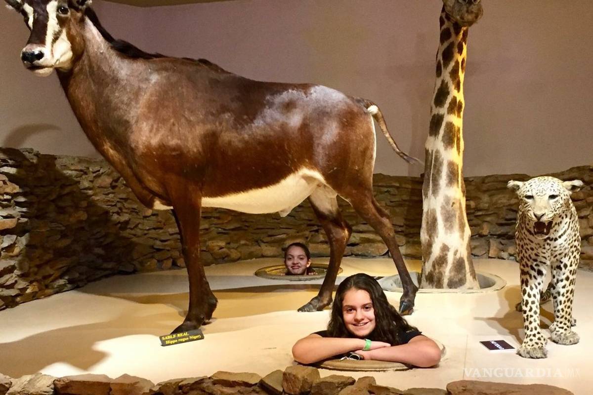 Museo del Desierto se mantiene a la vanguardia