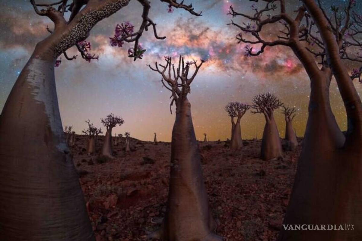 Mira las asombrosas imágenes de la octava edición las mejores imágenes de la Vía Láctea