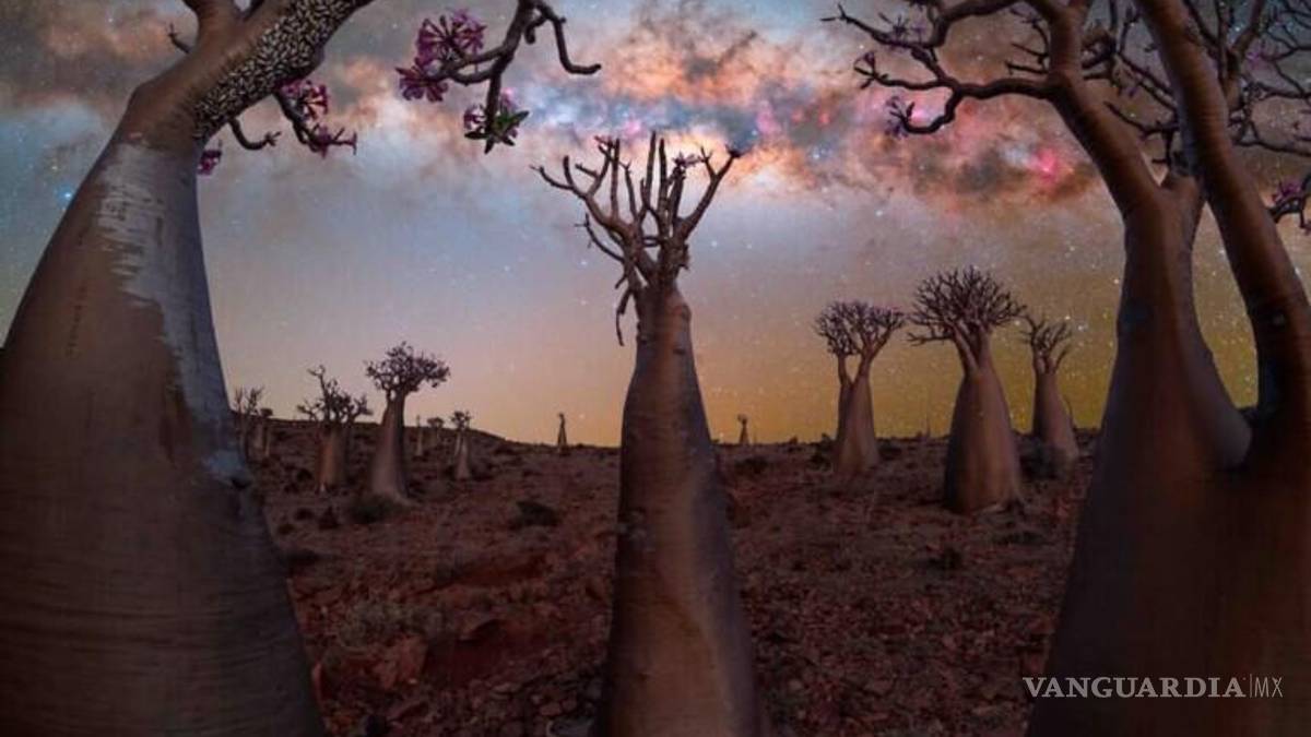 Mira las asombrosas imágenes de la octava edición las mejores imágenes de la Vía Láctea