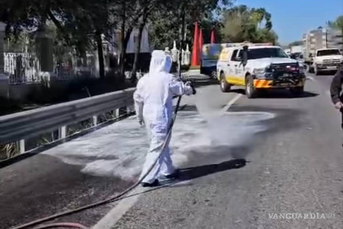 Jumanji regio: automovilistas de Nuevo León en riesgo de ataque de abejas