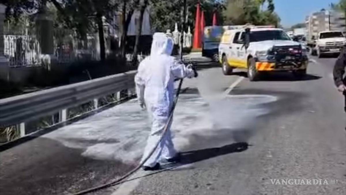 Jumanji regio: automovilistas de Nuevo León en riesgo de ataque de abejas