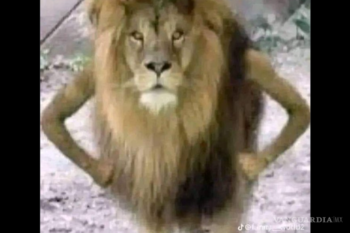 $!Cinemex cambia de imagen y desata ola de reacciones: estos son los mejores memes sobre el nuevo logo