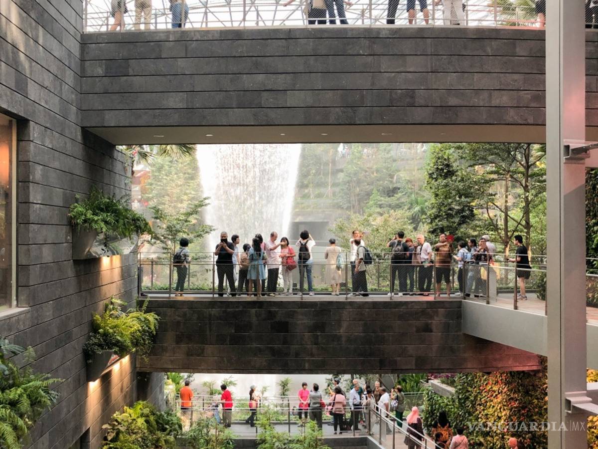 $!Aeropuerto Internacional de Changi en Singapur deja volar… la imaginación, tiene la cascada interior más alta del mundo