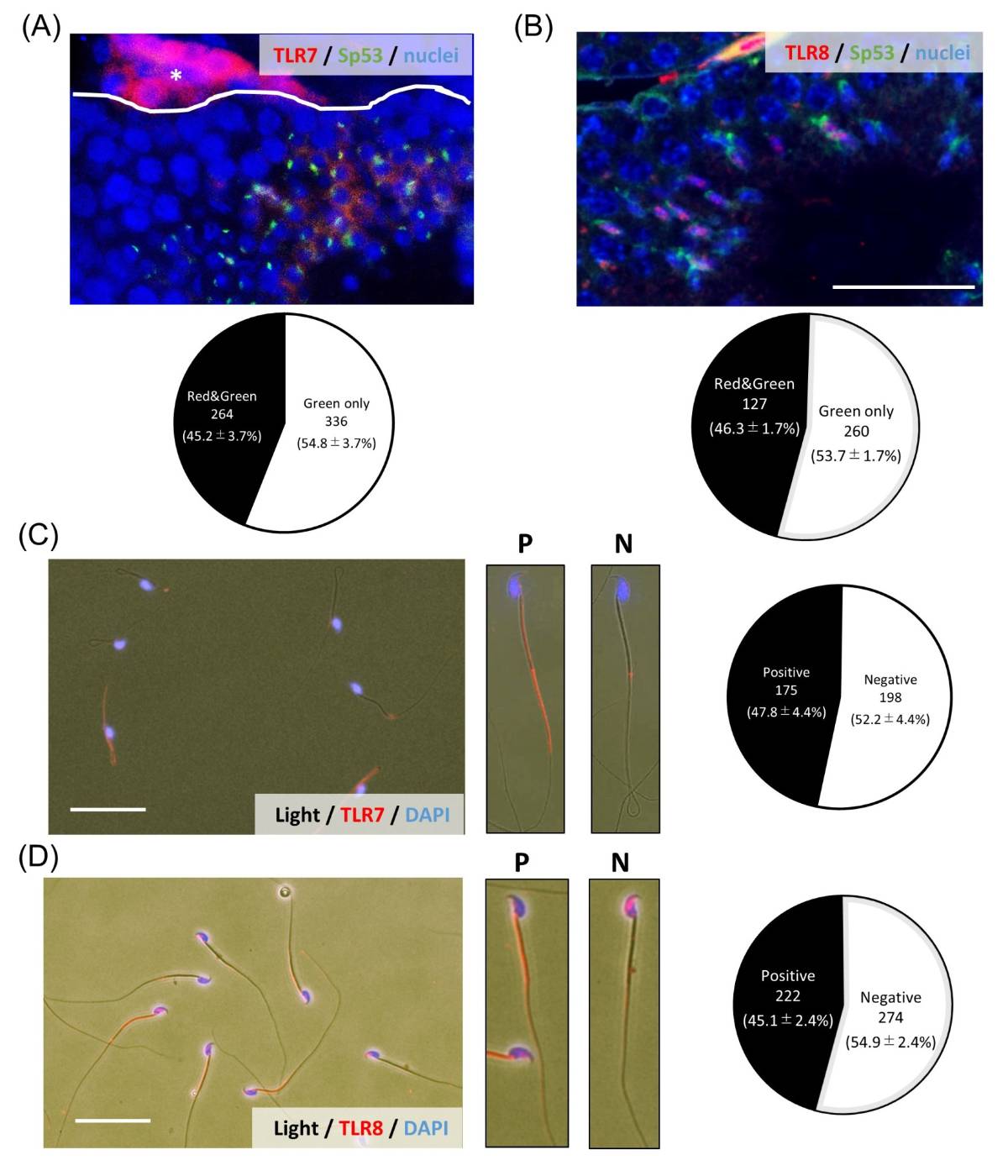 $!Ahora ya puedes elegir el sexo de tu hijo