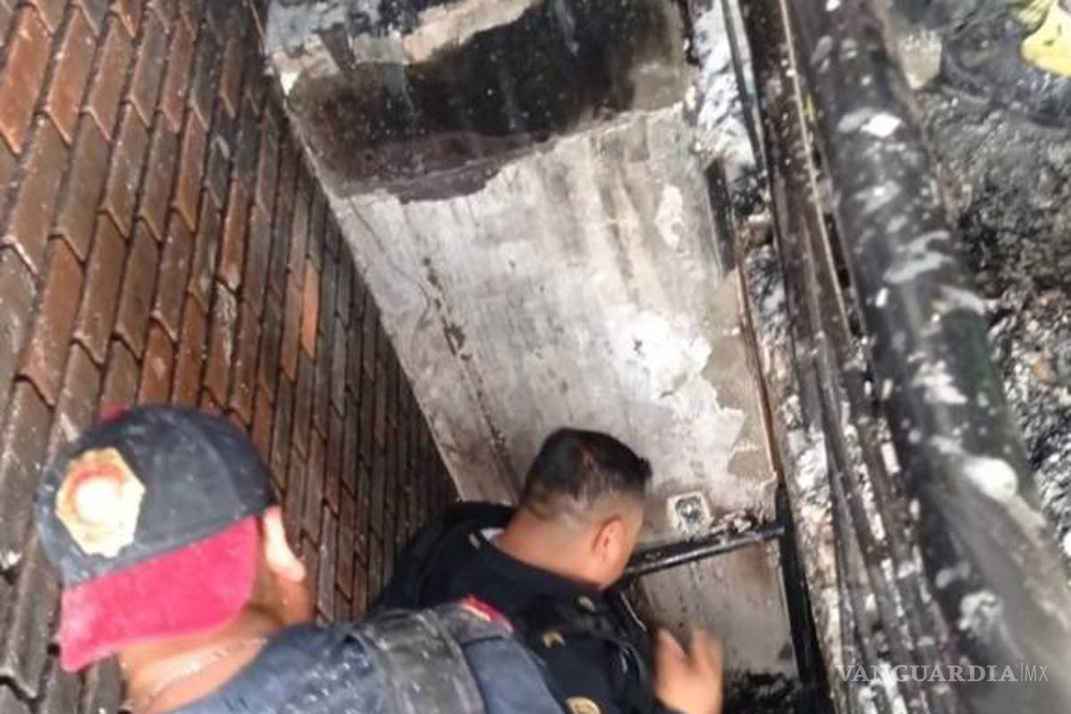 Tragedia animal; mueren seis perros en incendio en la alcaldía Benito Juárez