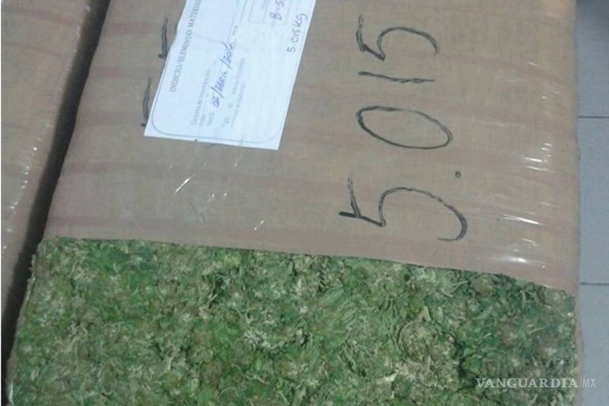 Incautan más de media tonelada de mariguana en Nuevo León; el destino era Saltillo