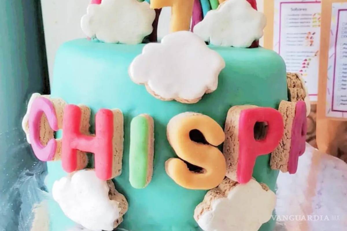 Saltillo: happy birth... ¿dog? Para pagarse estudios, joven vende pasteles para mascotas