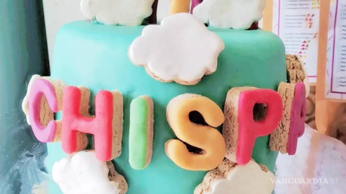 Saltillo: happy birth... ¿dog? Para pagarse estudios, joven vende pasteles para mascotas