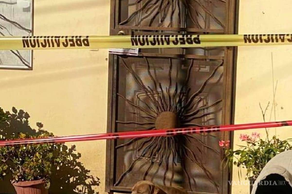 Perrito de la periodista Lourdes Maldonado espera afuera de su casa su regreso...