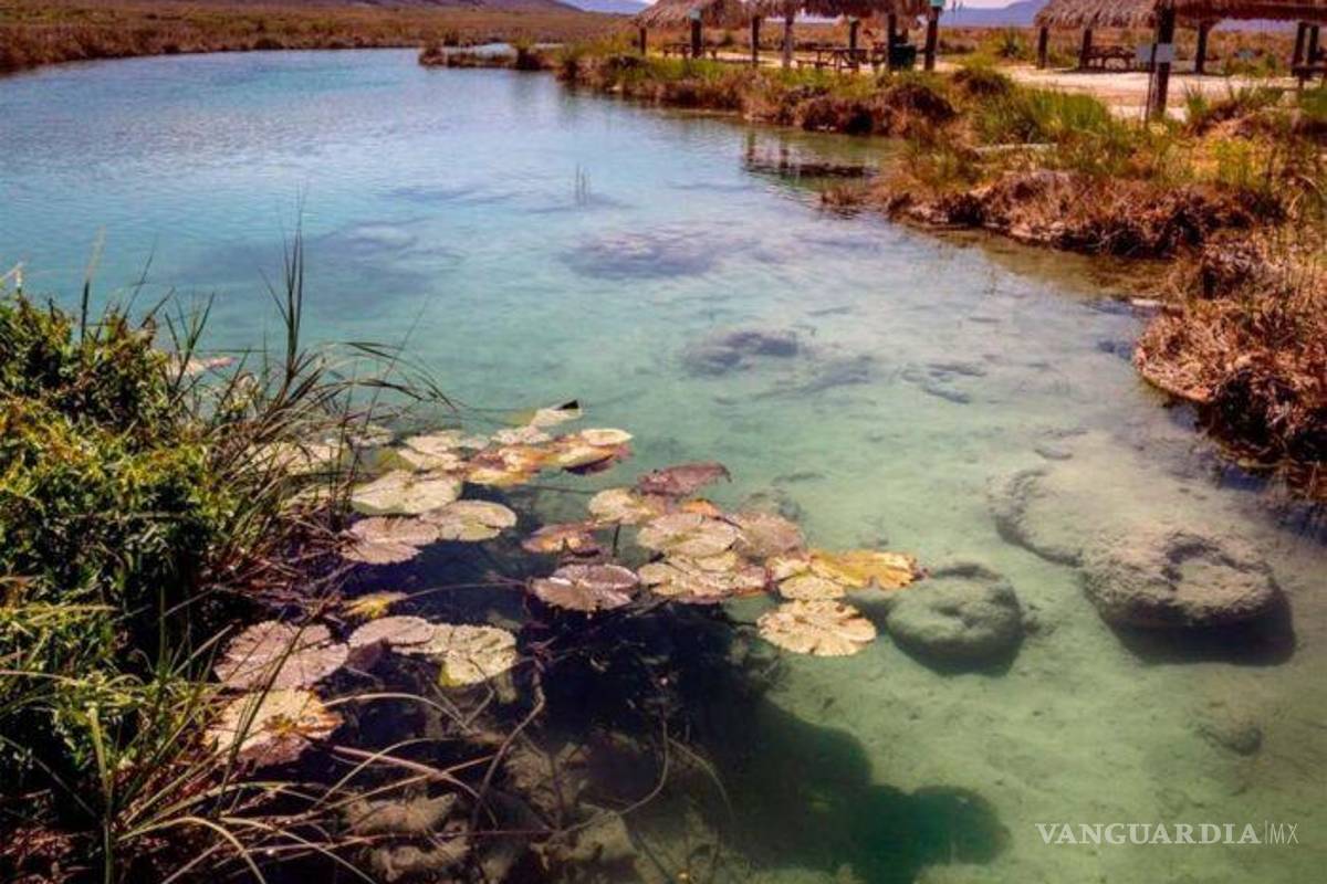Mude planea creación de museo subacuático en Cuatro Ciénegas
