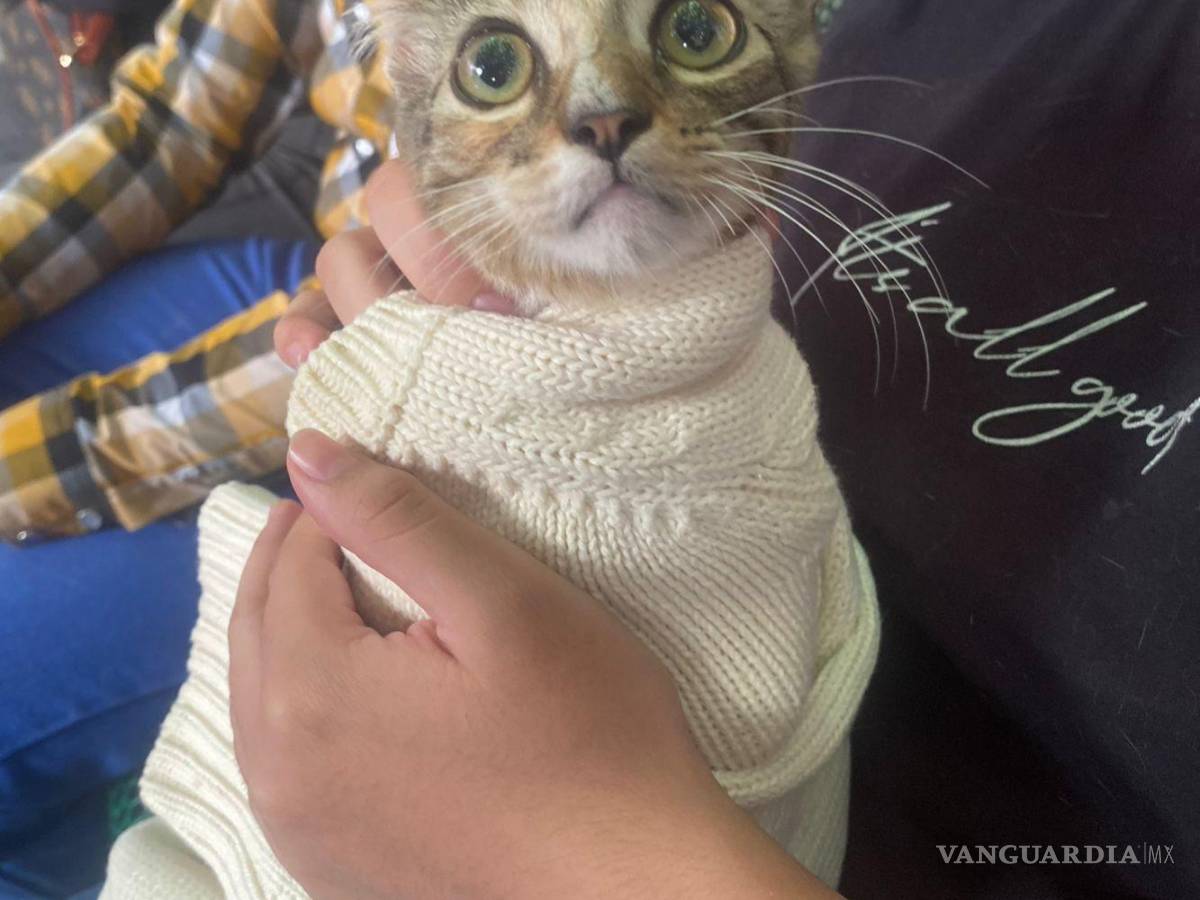 $!Autoridades municipales reafirmaron su compromiso con el bienestar animal y la tenencia responsable.