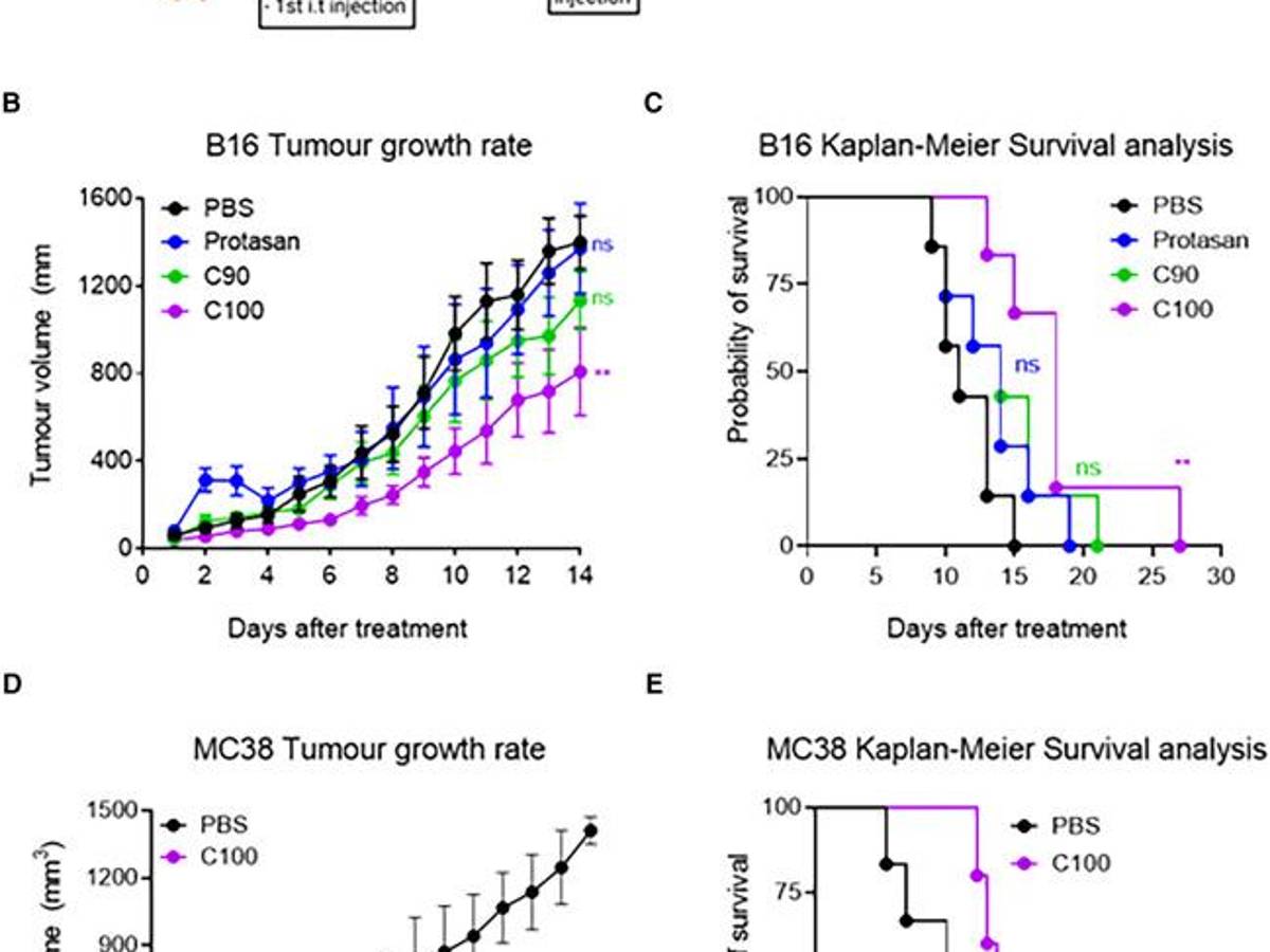 $!El C100 mejora significativamente la supervivencia de ratones portadores de carcinoma de colon MC38 o melanoma B16.