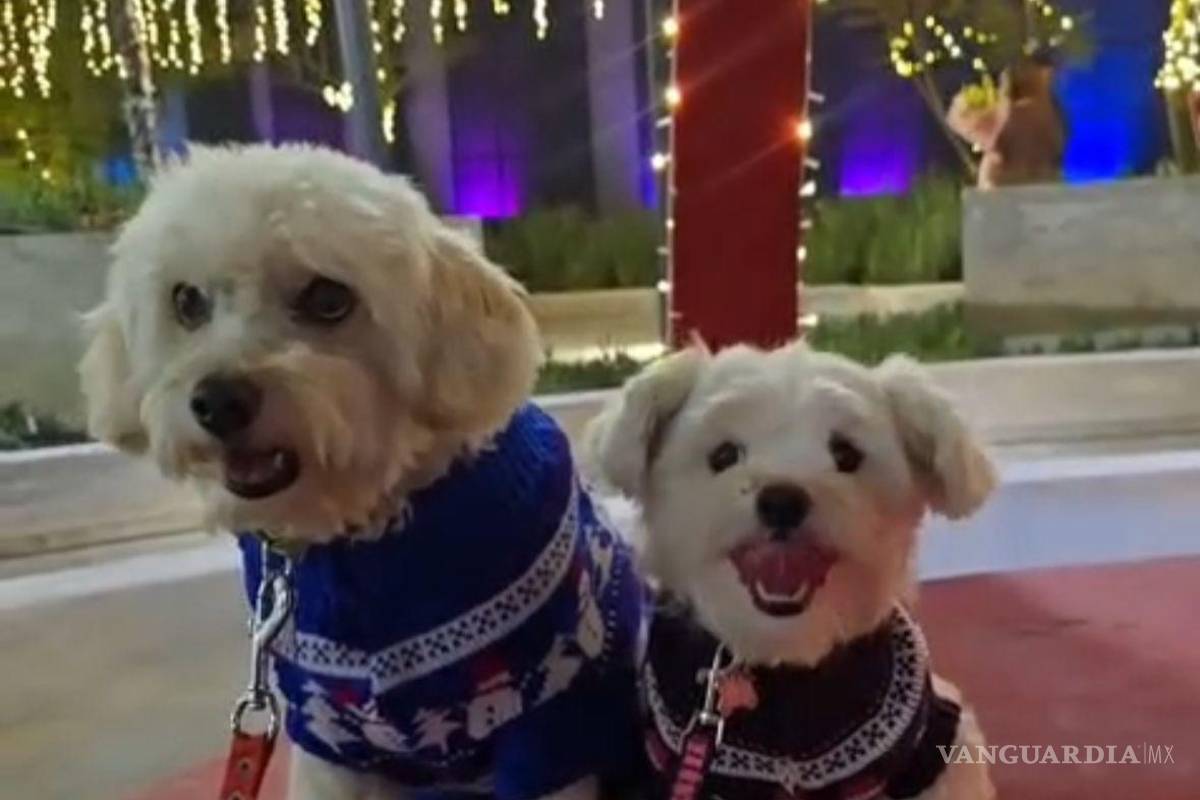 Saltillo: Pasarela navideña con causa busca respaldar el trabajo de rescatistas