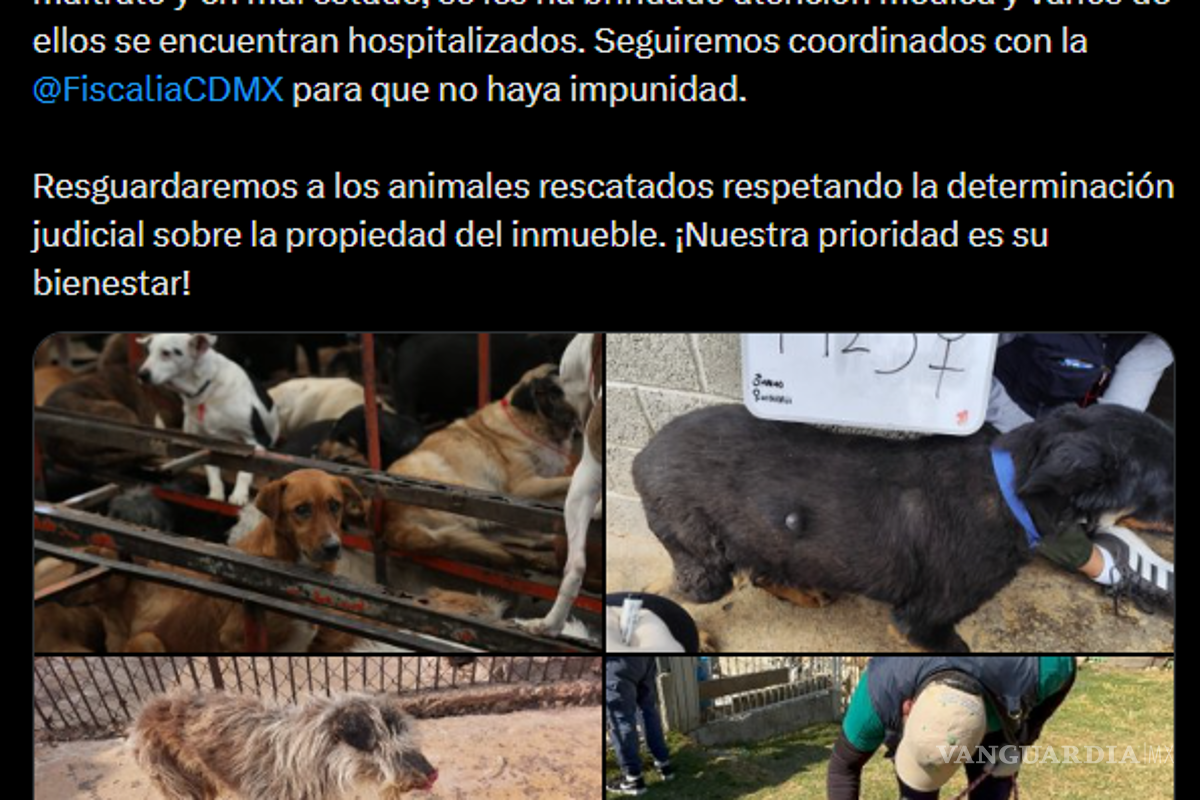 $!Rescatan a 936 animales del Refugio Franciscano en CDMX por presunto maltrato