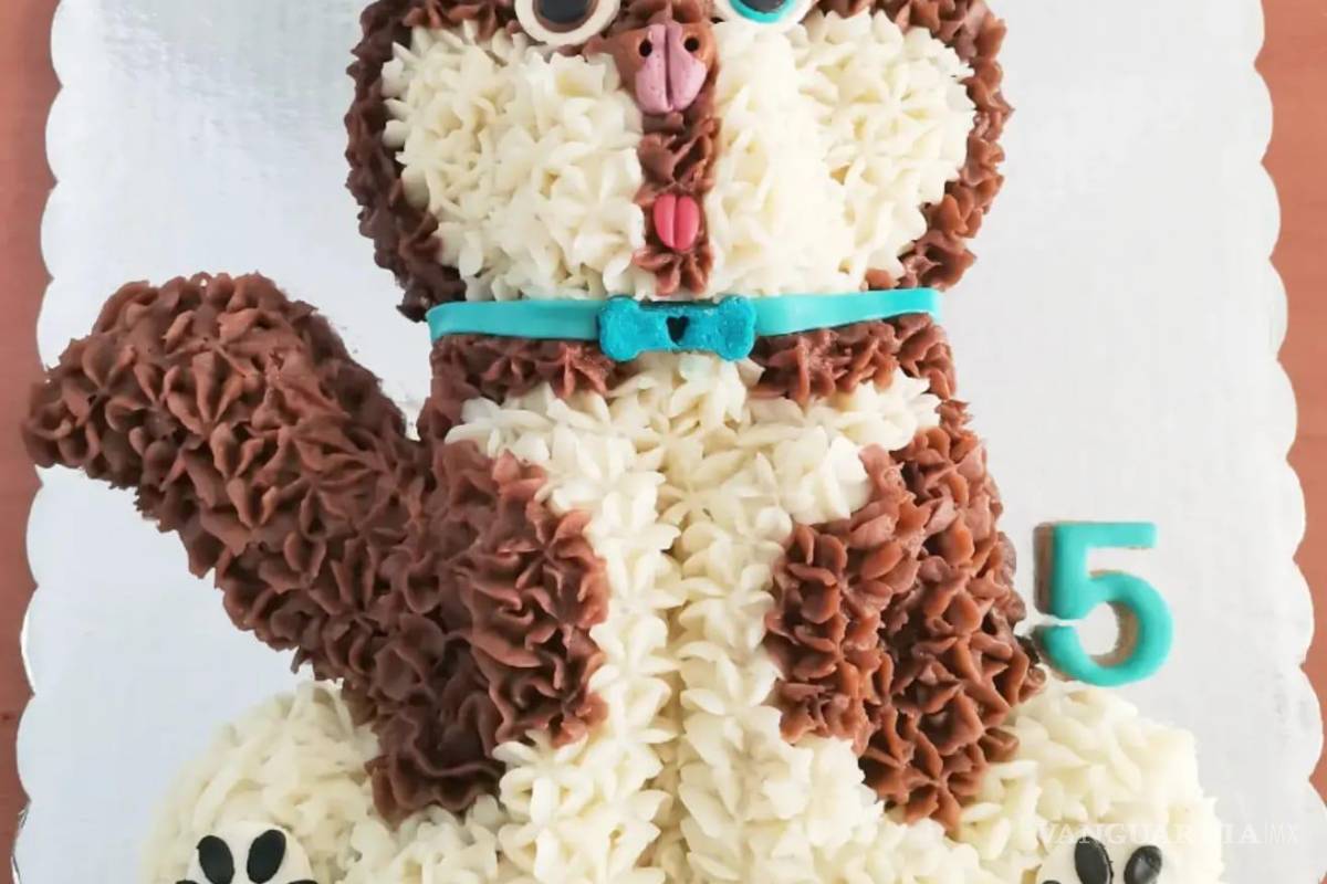 Saltillo: happy birth... ¿dog? Para pagarse estudios, joven vende pasteles para mascotas