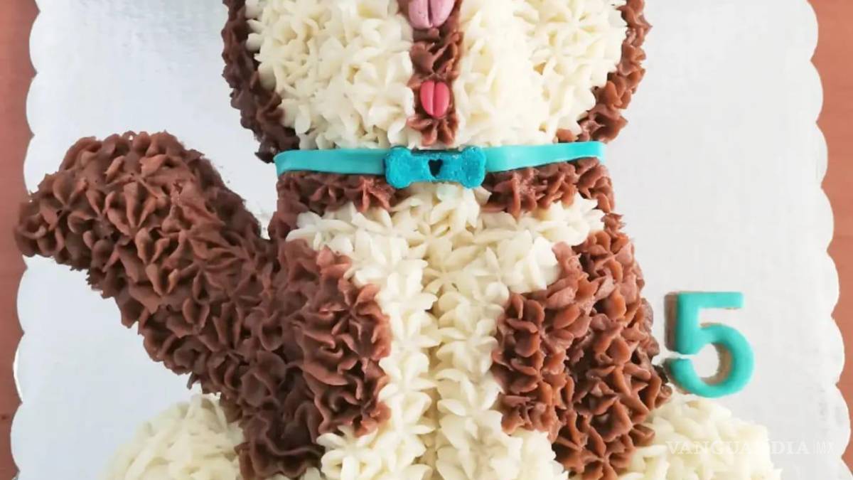 Saltillo: happy birth... ¿dog? Para pagarse estudios, joven vende pasteles para mascotas