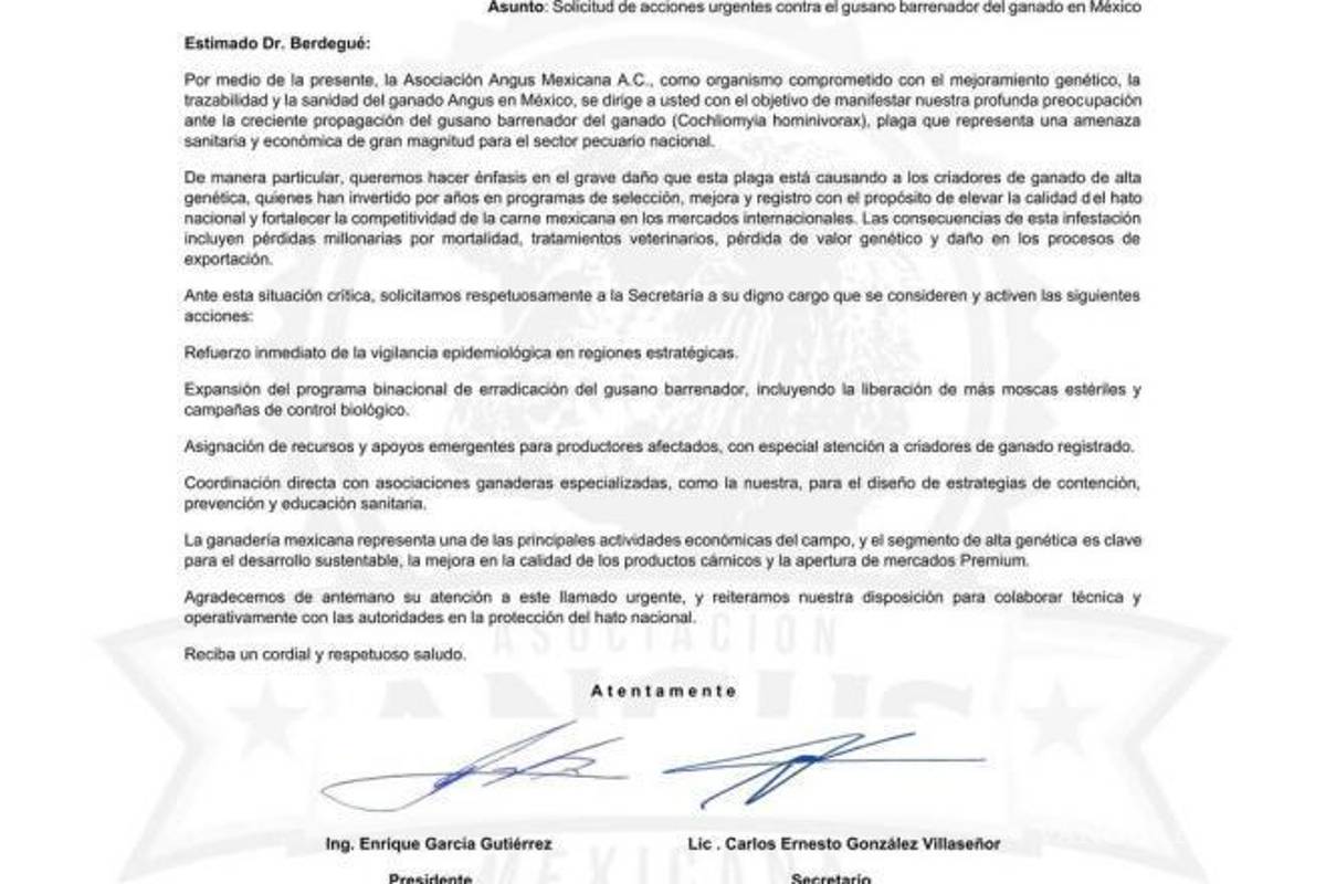 $!La Asociación Angus Mexicana manifestó su profunda preocupación por la propagación del gusano barrenador; envía carta al titular de la Secretaría de Agricultura y Desarrollo Rural.