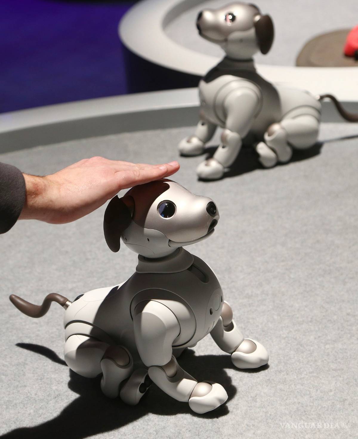 $!CES 2019, muestra las innovaciones tecnológicas que nos harán la vida más sencilla (fotogalería)