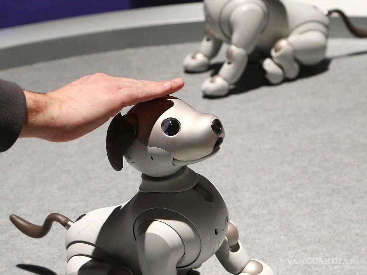 $!CES 2019, muestra las innovaciones tecnológicas que nos harán la vida más sencilla (fotogalería)