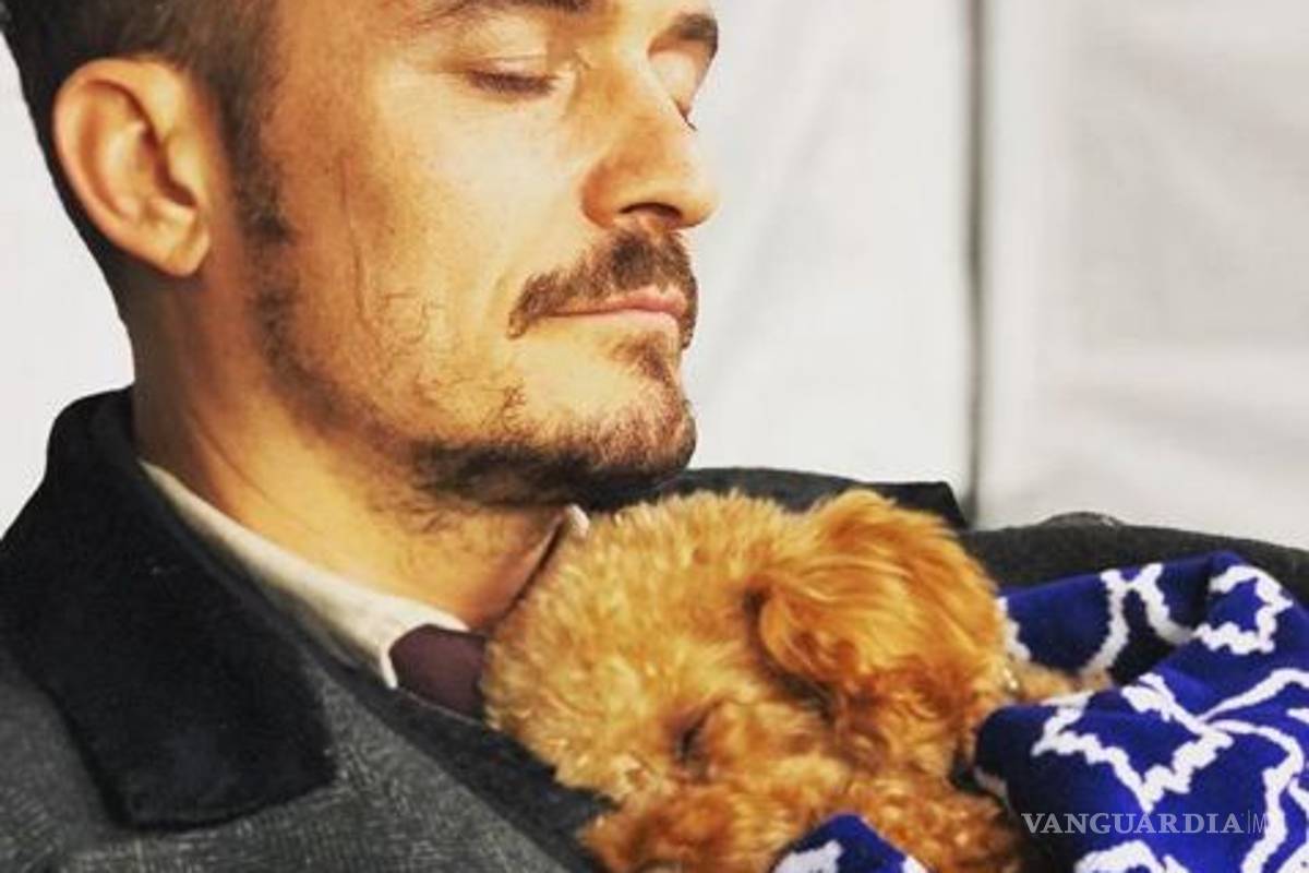$!Tras buscarlo por siete días, Orlando Bloom declara que su perro Mighty falleció